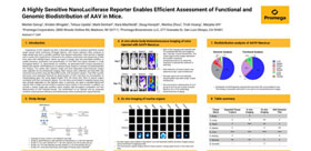 scientificposternanoluc