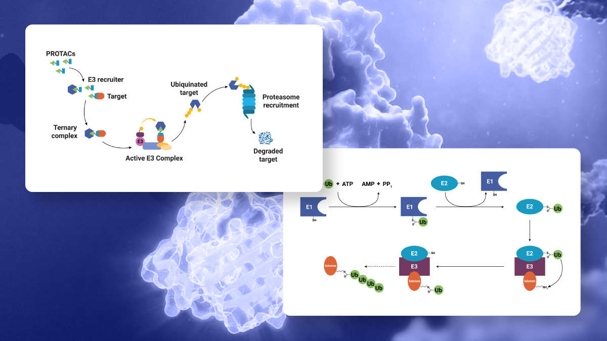 undruggablesweb-tiles-inducedproximity