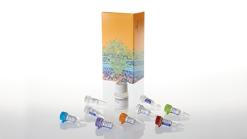 Access RT PCR System 100 reactions