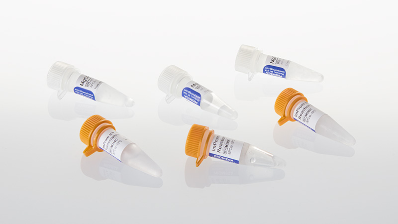 ImProm II Reverse Transcriptase 500 reactions