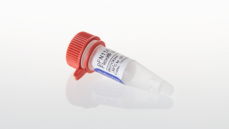 C9341_pFN11A--BIND--Flexi--Vector--20ug_3