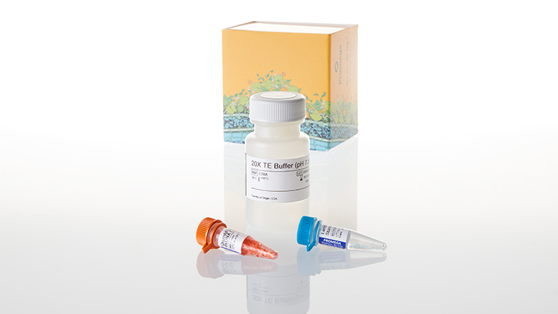 QuantiFluor dsDNA System 1ml