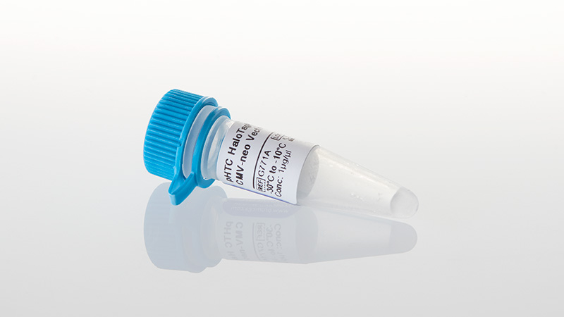 G7711_pHTC-HaloTag--CMV-neo-Vector--20ug_3