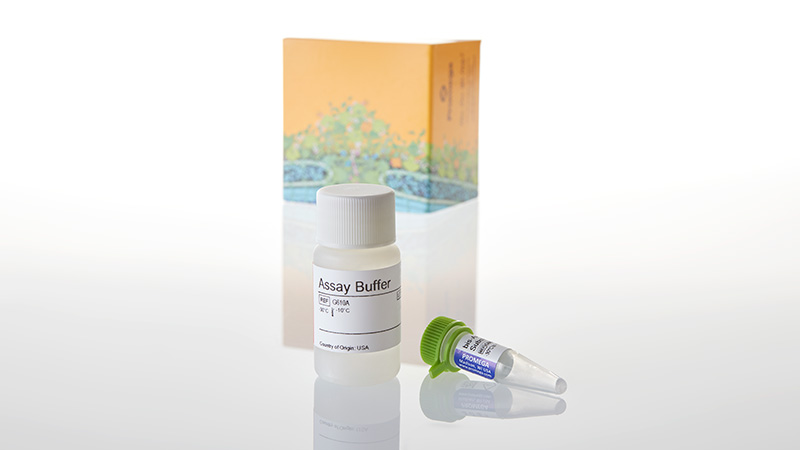 G9260_CytoTox-Fluor--Cytotoxicity-Assay--10ml_3