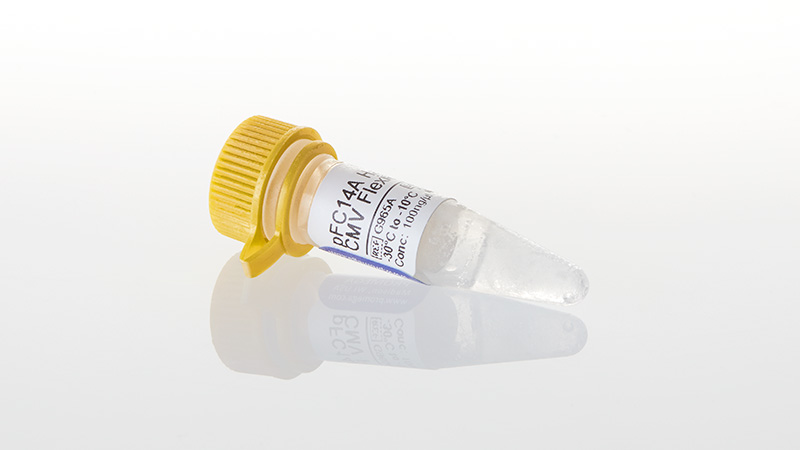 G9651_pFC14A-HaloTag--CMV-Flexi--Vector--20ug_3