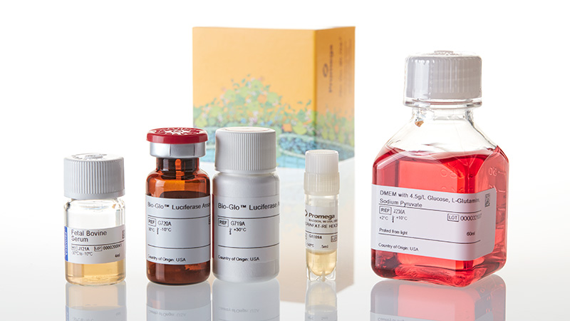 GA2001_VEGF-Reporter-Bioassay_3