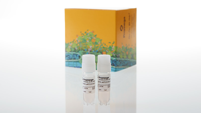 J3252_Fc-RIIb-aAPC-CHO-K1--Propagation-Model_3