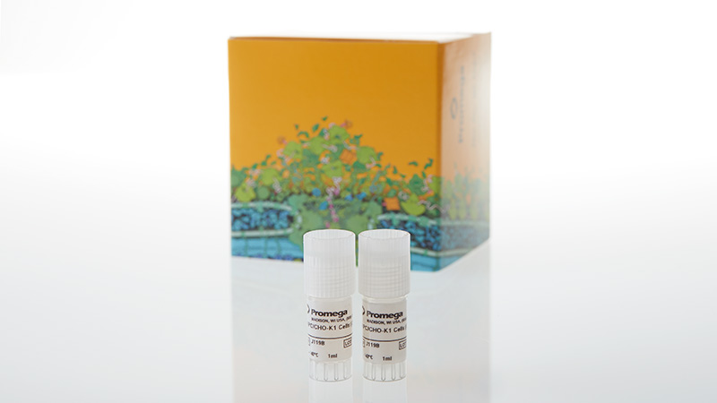 J3312_aAPC-CHO-K1--Propagation-Model_3