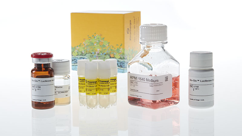 JA2195_OX40-Bioassay-5X_3