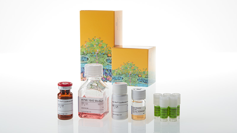 JA6705_CD28-Bioassay--Core-Kit-5X_3