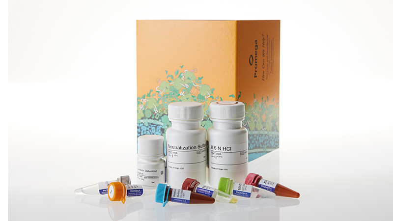 je9500-bhb-glo-ketone-body-assay-5-ml