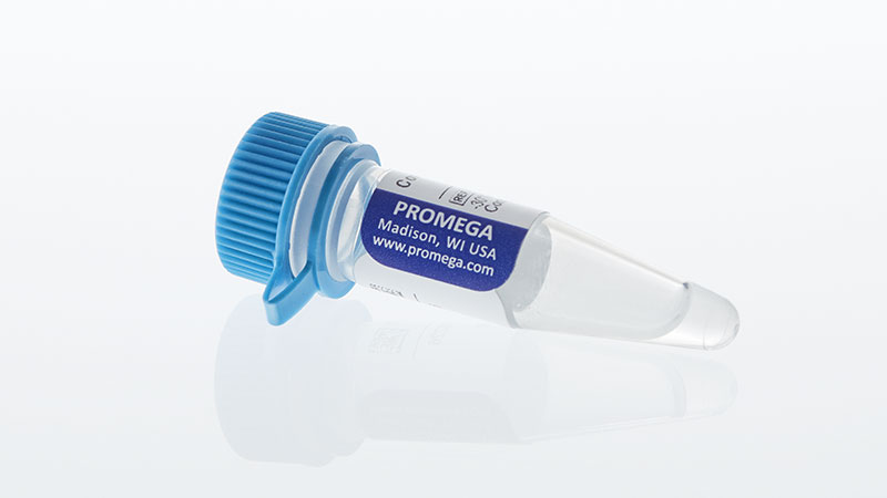 K1191_Control-Ab--Anti-OX40_3