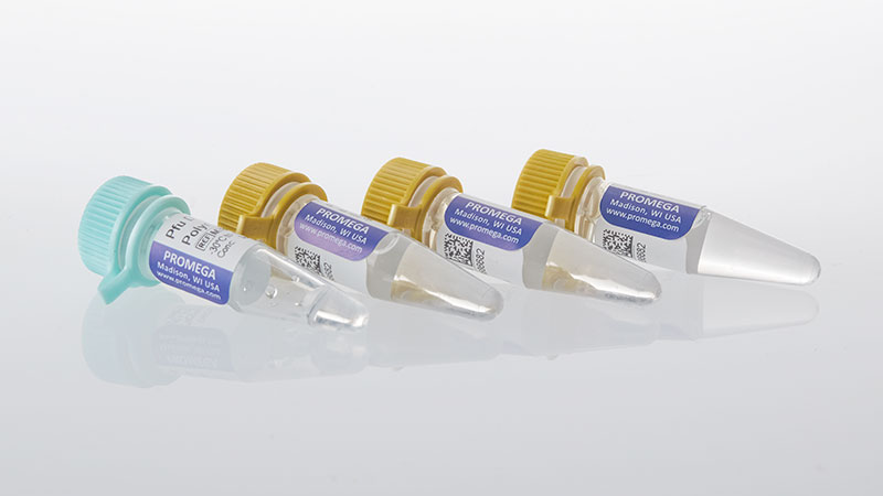 m7885-pfu-dna-polymerase