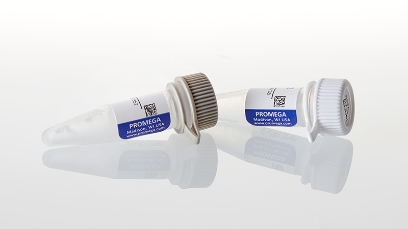 N1641_NanoBRET--PPI-Control-Pair--p53-MDM2-_3