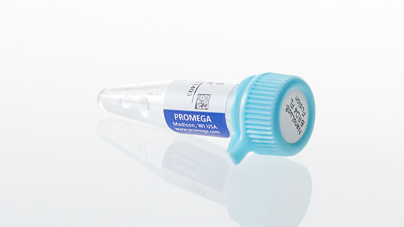 N1691_NanoLuc--BRD4-FL-Fusion-Vector_3