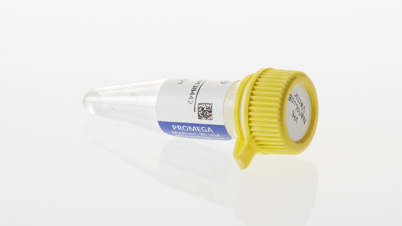 N2751_VHL-NanoLuc--Fusion-Vector_3