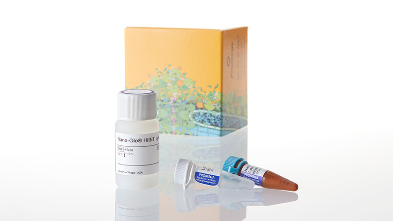 N3030_Nano-Glo--HiBiT-Lytic-Detection-Sys-10ml_3