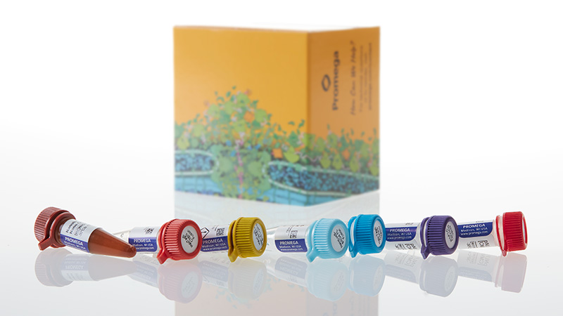 ND2720_NanoBRET--CRBN-Ternary-Complex-Starter-Kit_3