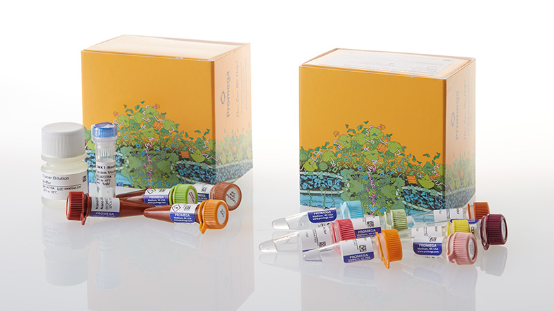 NanoBRET™ TE CDK Selectivity System A