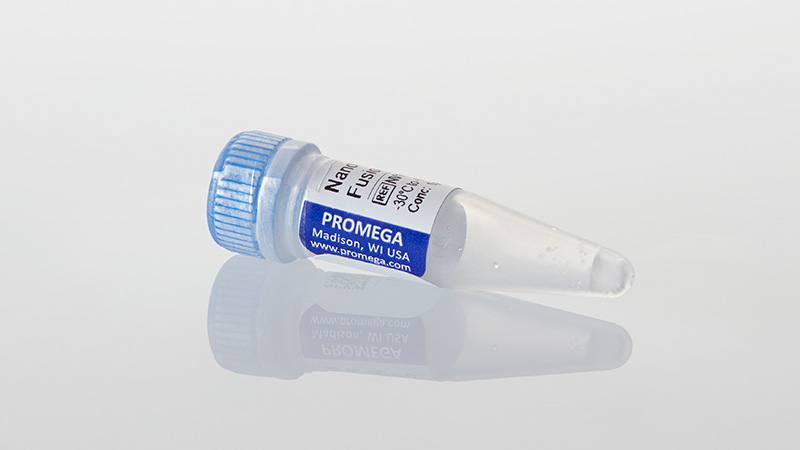 NV1011_NanoLuc--ABL1-Fusion-Vector_3