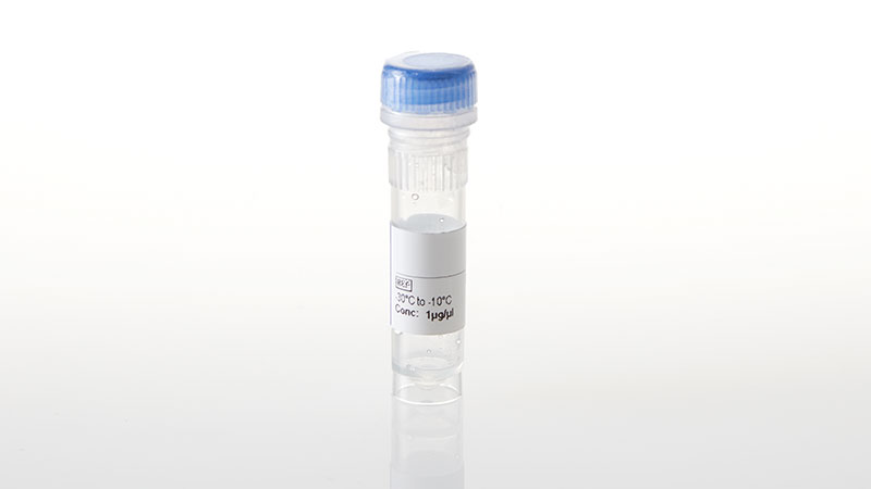 NV3171_FLT3-R834Q--NanoLuc-