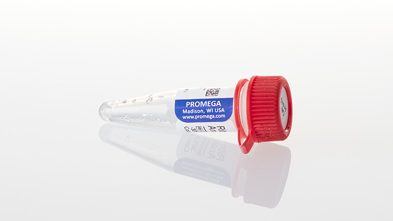 P1711_Ribo-m7G-Cap-Analog--10-A254-units_3