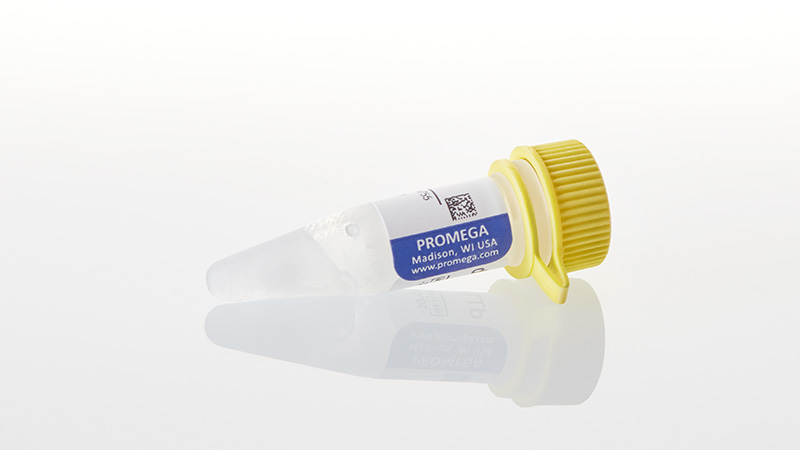 U1231_dTTP--100mM--40uMoles_3