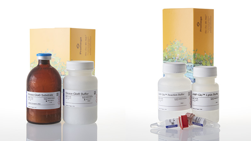 V1502_cAMP-Glo-Assay