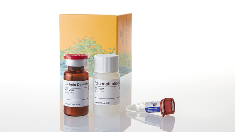 V8771_P450-Glo--CYP1A2-Assay--10ml_3