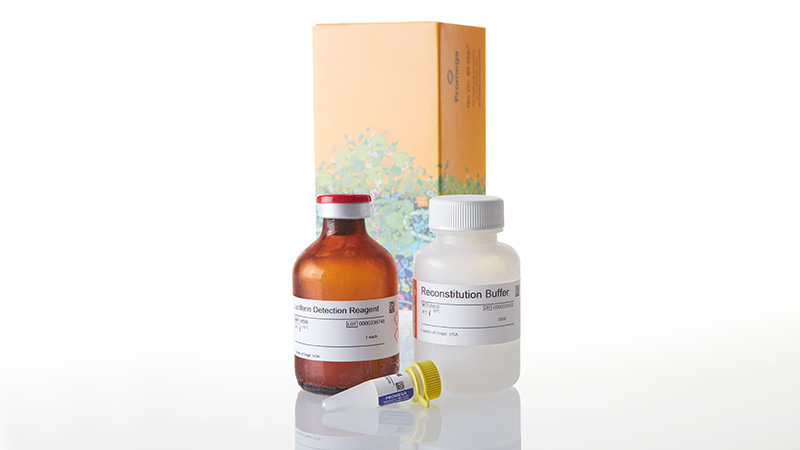 V8792_P450-Glo--CYP2C9-Assay--50ml_3