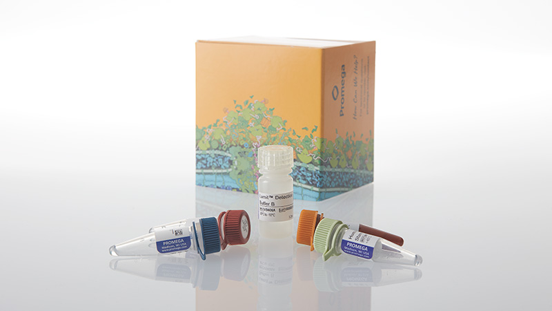 w1810-lumit-ifn-beta-human-immunoassay