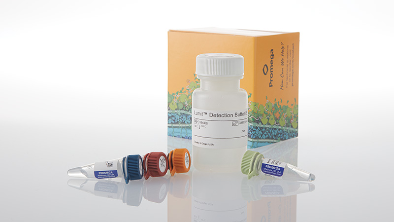 w1811-lumit-ifn-beta-human-immunoassay