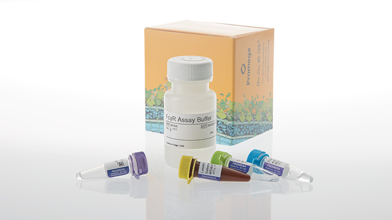 w7060-lumit-fcgriia-r131-binding-immunoassay