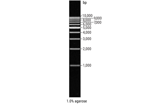 1836tb-w