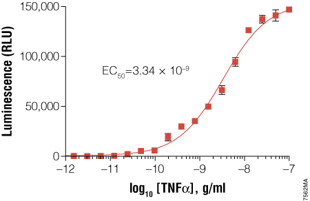GloResponse NF-KB-RE-luc2P HEK293 cells response to TNF-alpha titration.