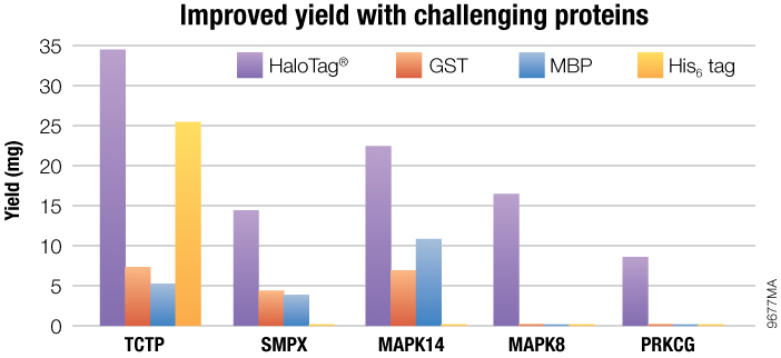 HaloTag® Technology improves purification of difficult proteins.