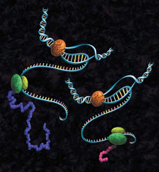 invitroexpressionguide-images-03