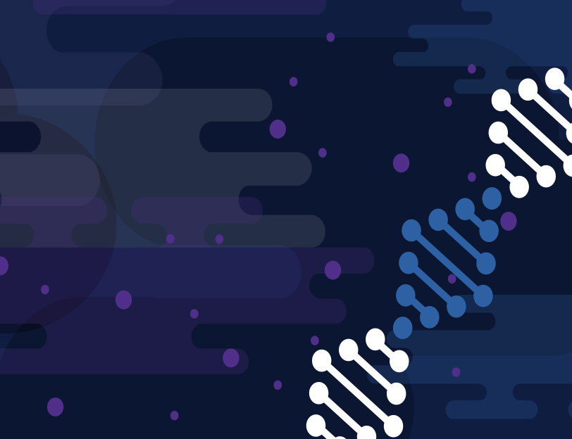 rr-hibit-protein-tagging-system