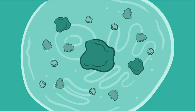 Intro to Protein Tags for Purification